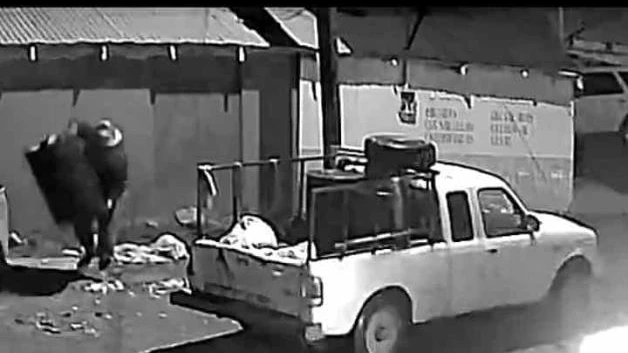 Pillan a ladrón de botes de basura