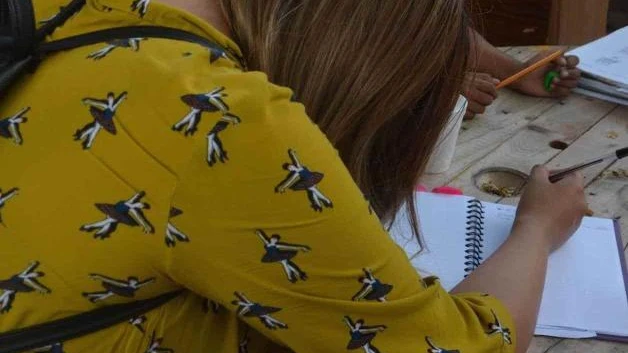 Tienen la opción de prepa abierta
