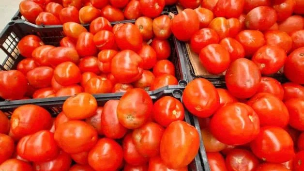 Huevo, aguacate y papa lideran alza en precios