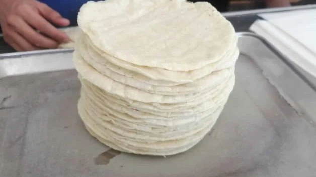 Sin aumento aún, precio de la tortilla