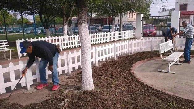 Reforestación como nunca en Río Bravo