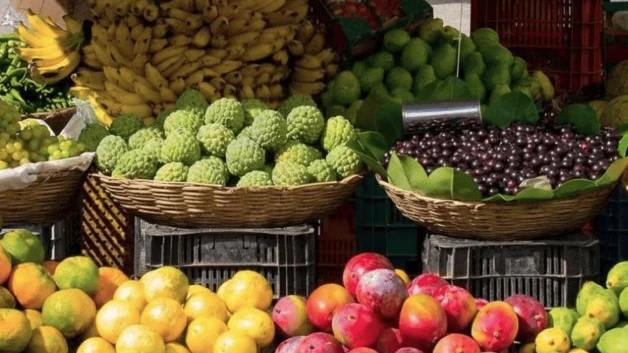 ¿Qué estado tiene el precio más alto en canasta básica?