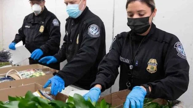 Restringe CBP ingreso de productos agrícolas