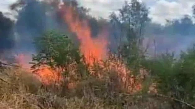 Incendios sin control por altas temperaturas y falta de lluvias