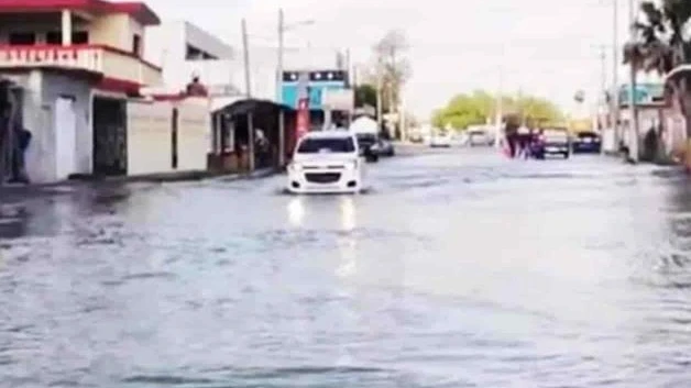 Derrochan 50% del agua