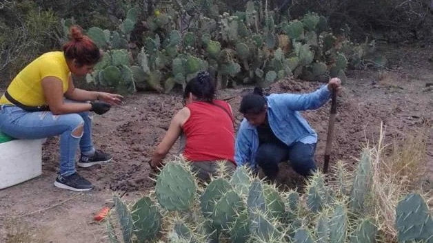 Identifican 2 cadáveres de fosas clandestinas