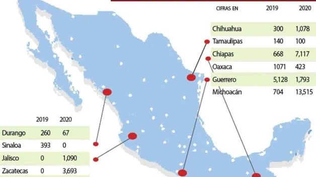 Desplazados por la violencia; huyen, principalmente, de Miguel Alemán, Mier y Reynosa