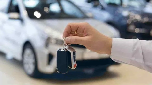 Frenada venta de autos