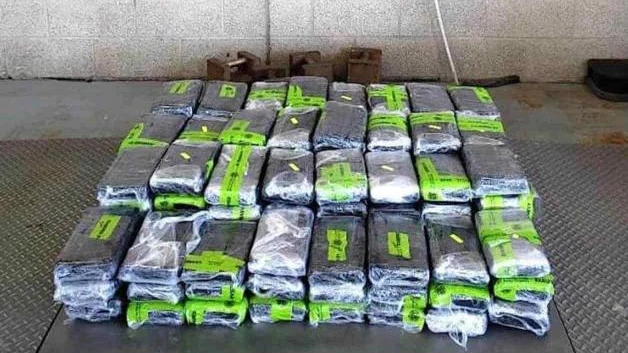 Decomisan 7.1 mdd en cocaína y heroína