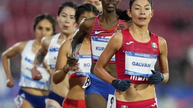 ¡Subcampeona panamericana!