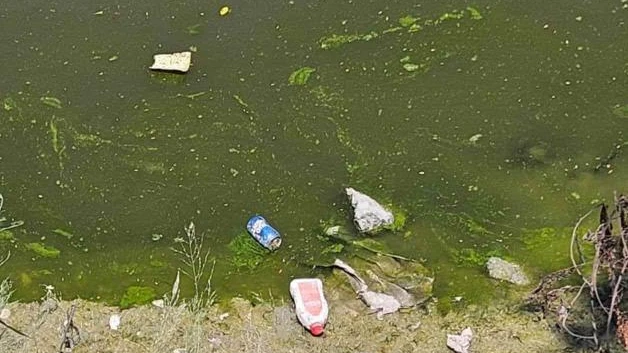 Contaminado el Canal Rodhe: Aguas residuales provocan infecciones y enfermedad