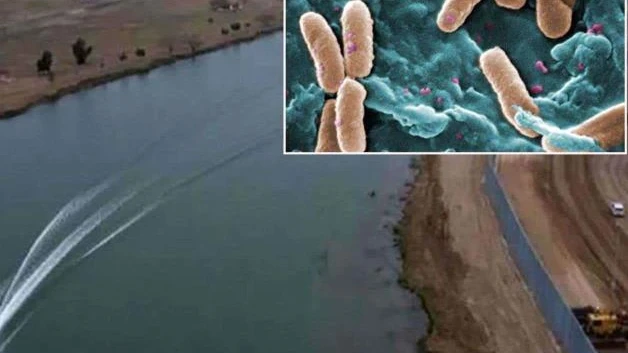 Alertan de bacteria en el Bravo