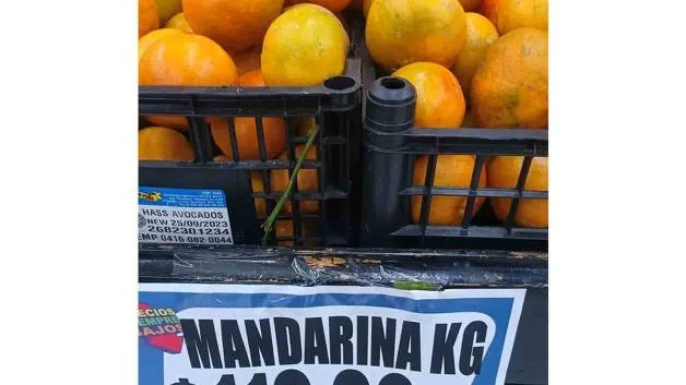 Inicia temporada de mandarina con alza