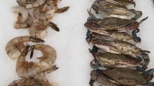 Ojo con los mariscos