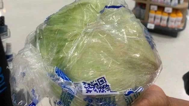 Duplican costo de la lechuga en Reynosa