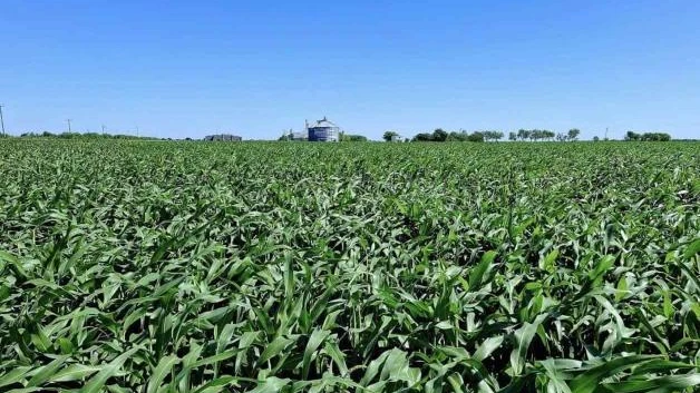 Piden bombardear nubes en zona rural de Reynosa