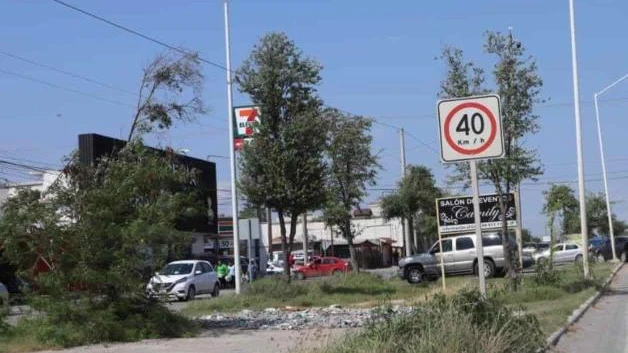 Luce avenida de Reynosa como ´selva´