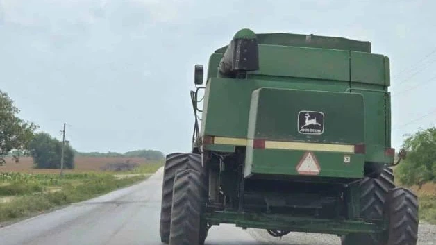 Productores exigen precio justo al sorgo
