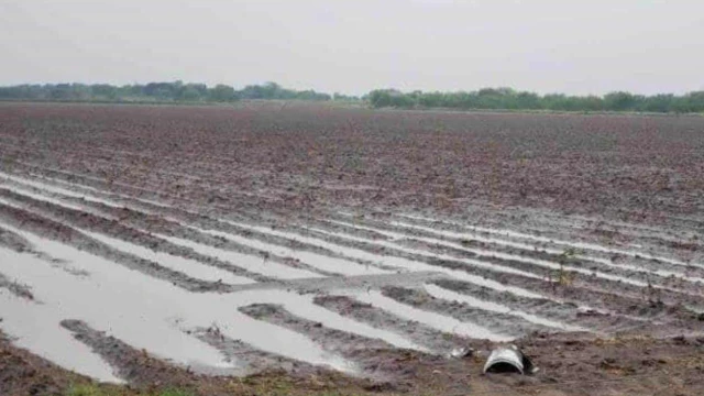 Llegan lluvias a darle buen respiro al campo