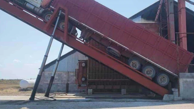 En pleno apogeo las trillas de sorgo