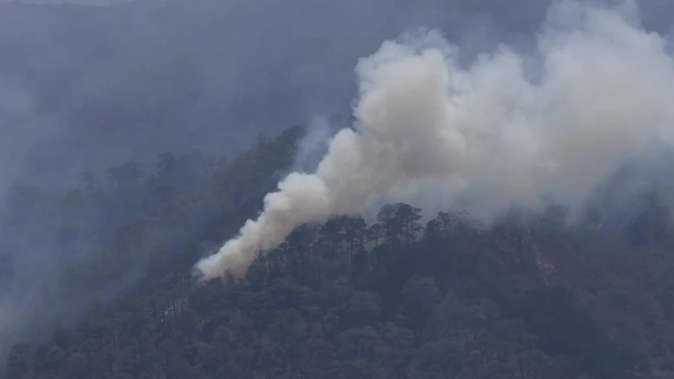 Supervisa Américo Villarreal combate a incendio