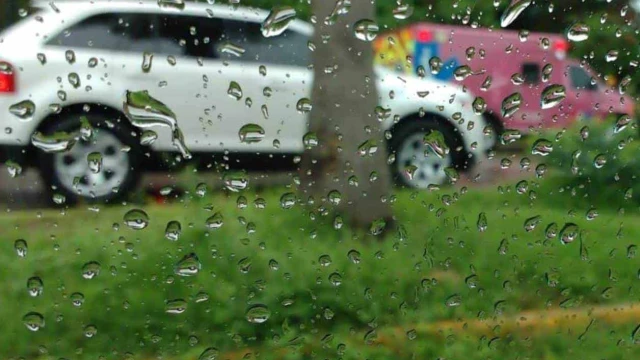 Pronostican lluvias