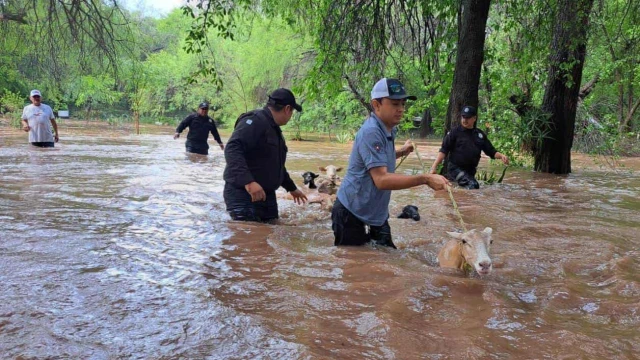 Despliegan ‘Plan Tamaulipas’ por desbordamiento de ríos