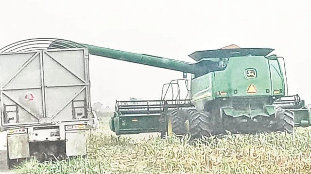 Darán a productores $750 por tonelada