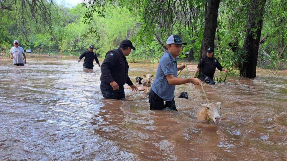 Despliegan ‘Plan Tamaulipas’ por desbordamiento de ríos