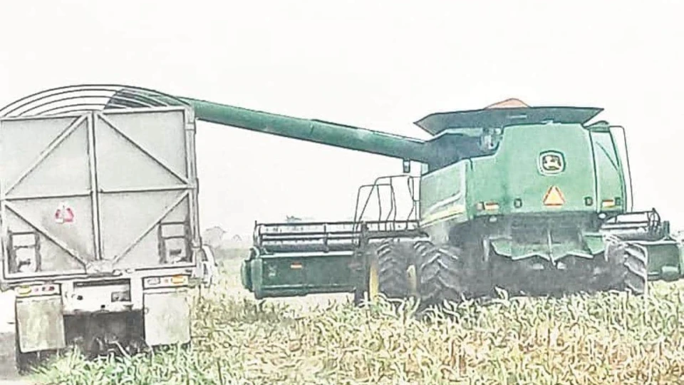 Darán a productores $750 por tonelada