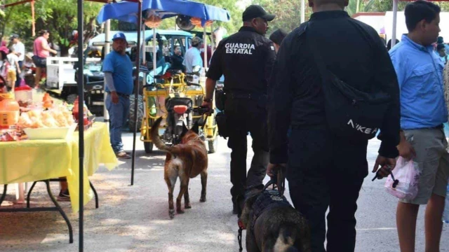 Perciben menos inseguridad en ciudades de Tamaulipas, según encuesta de Inegi