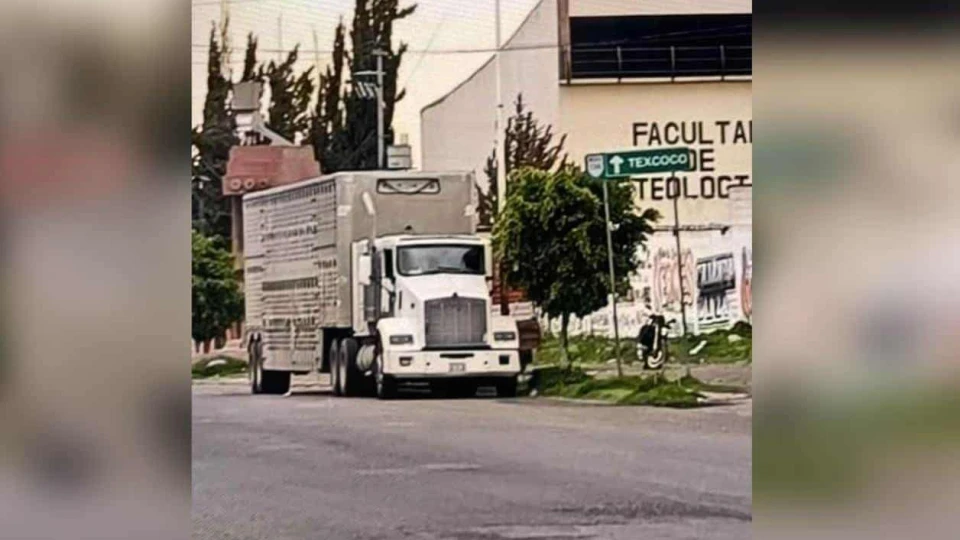 Roban reses en Altamira; reaparecen en ¡Edomex!