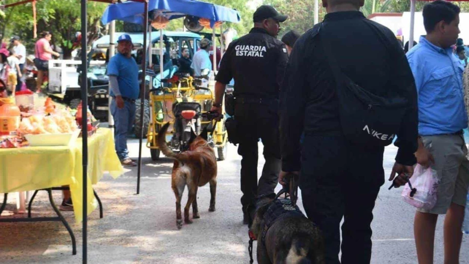 Perciben menos inseguridad en ciudades de Tamaulipas, según encuesta de Inegi