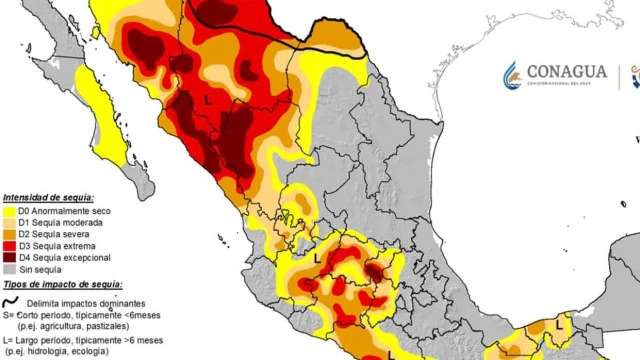 Tamaulipas es uno de 8 estados libre de sequía