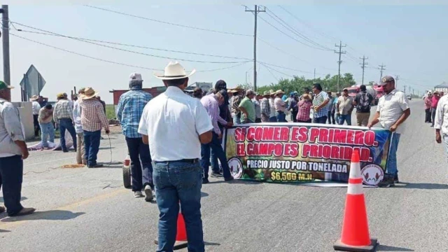 Productores de sorgo de norte de Tamaulipas amenazan con bloqueos