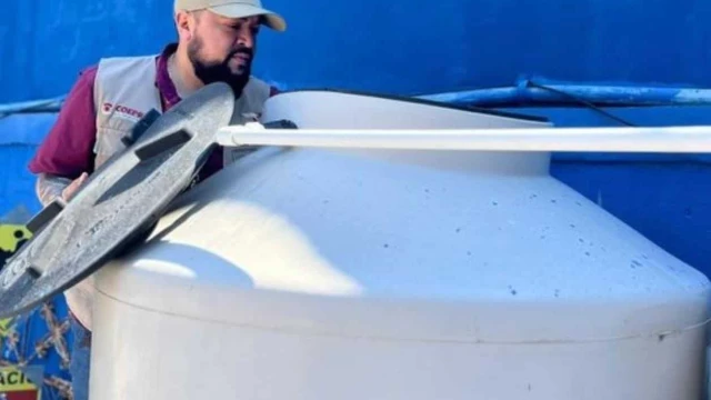 Ingresa dengue en fase de alerta en Reynosa