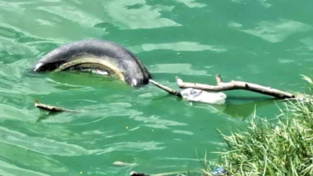 Piden rescatar a Laguna La Escondida
