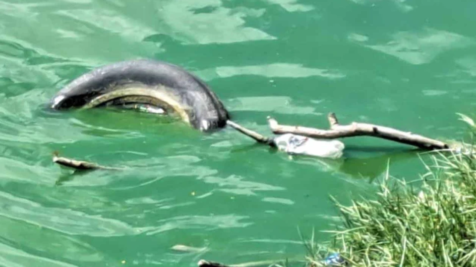 Piden rescatar a Laguna La Escondida