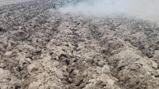 San Fernando: Campo detenido por la humedad