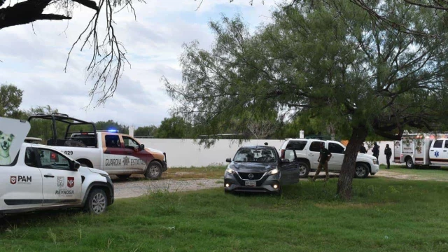 Terror por tigre suelto en Reynosa: Implementan operativo de búsqueda