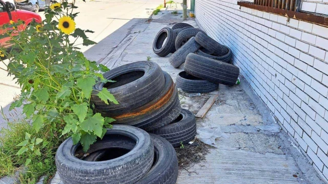 Urgen a la sociedad la descacharrización en Reynosa