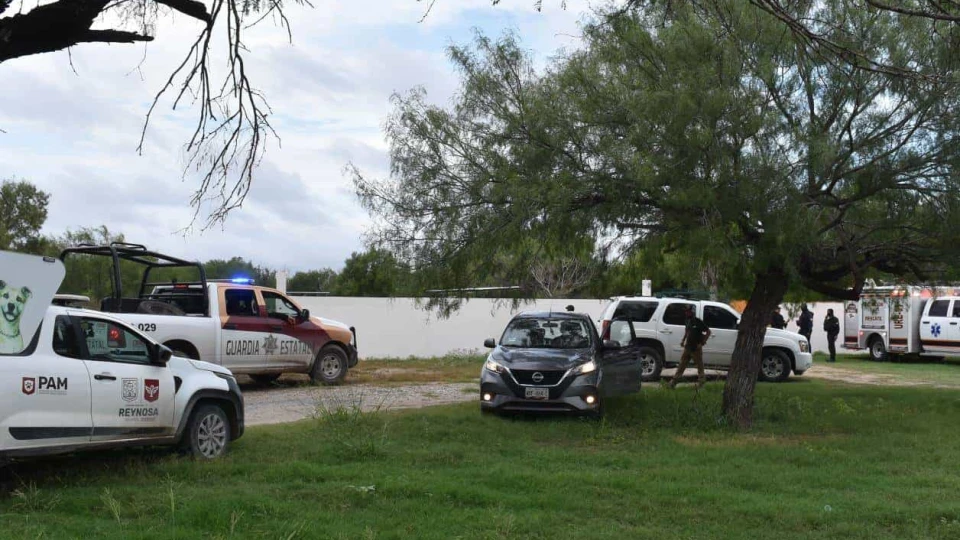 Terror por tigre suelto en Reynosa: Implementan operativo de búsqueda