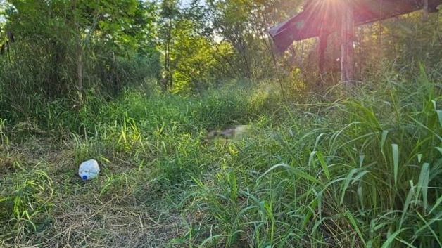 Hallan cuerpo en zacatal de terreno baldío de Reynosa