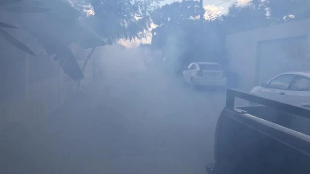 Suma dengue 181 positivos en Matamoros