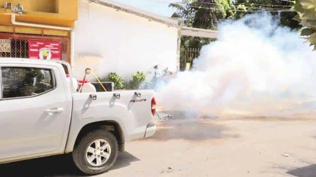 Anuncian combate intensivo contra transmisor del dengue