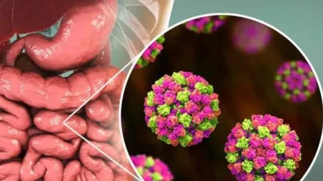 Alerta sanitaria por presencia de norovirus en Matamoros