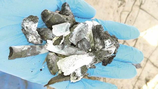 Hallan en Tamaulipas 554 fosas clandestinas