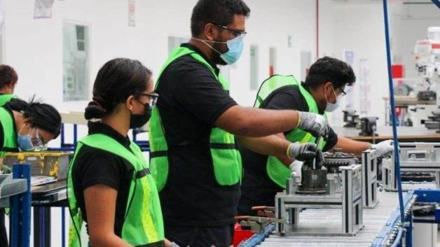 Perdió el estado 11 mil empleos formales 2024