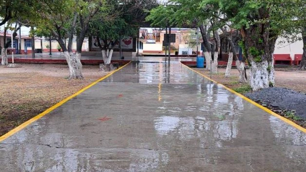 Asiste a clases un 5% del alumnado