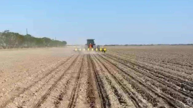 Productores se animan a sembrar: Falta agua al campo
